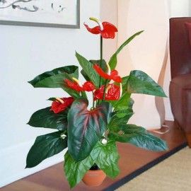 Artificial Anthurium Plants