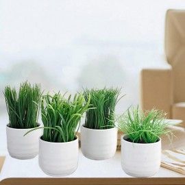 Artificial Potted Grass (Decorative) 