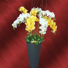 10 Artificial Phalaenopsis Orchids in Plastic Planter Pot 130cm Height