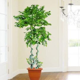 Artificial Ficus Tree 195cm Height