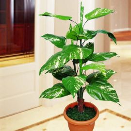 Artificial Money Plant 3 Ft