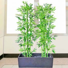 6 feet Bamboo artificial plants in 3 feet long Planter Box