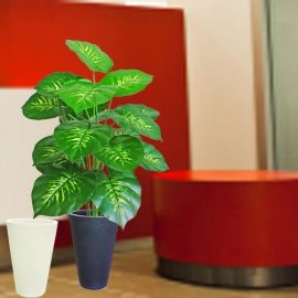 Artificial Dieffenbachia Plants 80cm Height