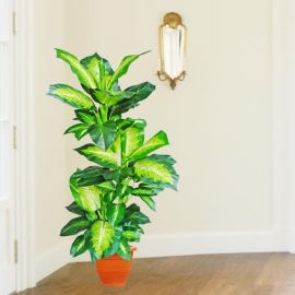 Artificial Dieffenbachia Plant 1.4 meter Height