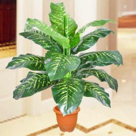 Artificial 4 Feet Dieffenbachia Plants - 15 Leaves