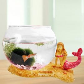 Mini Aqua Gifts ( Mermaid Series )