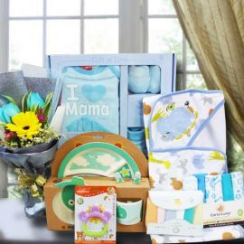 Baby Boy Gift Hamper Delivery In Singapore