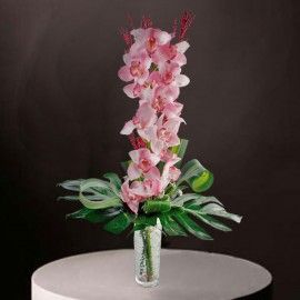 Cymbidium orchids Delivery in Singapore