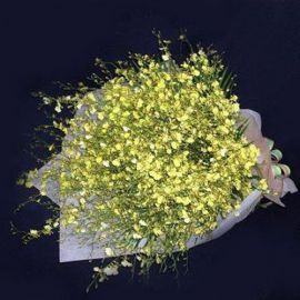 Golden Shower Orchid Handbouquet.Kindly order 1 day in advance 