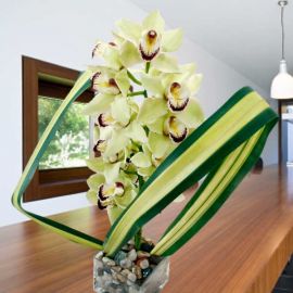 Green Cymbidium orchids with Glass Vase