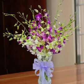 Mixed Orchid in Glass Vase