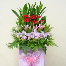 Pink Lily & Red Gerbera on Pink Box Stand (5 Feet in height) 