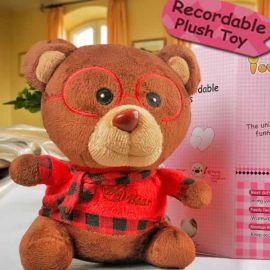 Add On, Recordable Passie Bear 