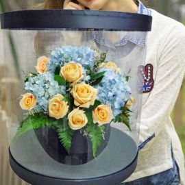 Hydrangeas & Champagne Roses In Round Transparent Box