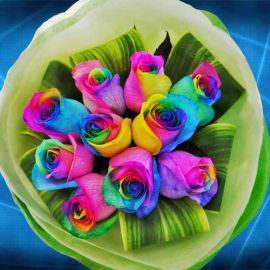 10 Rainbow roses Hand Bouquet 