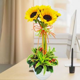 5 Sunflowers In Vase