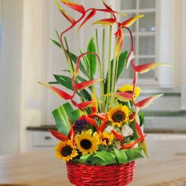 Sunflower & Heliconia Basket Arrangement