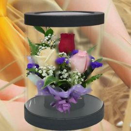 3 Mixed Roses in Cylinder Gift Box 20cm Height